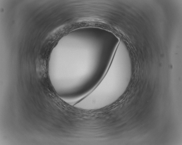 X0000082741062200701261025