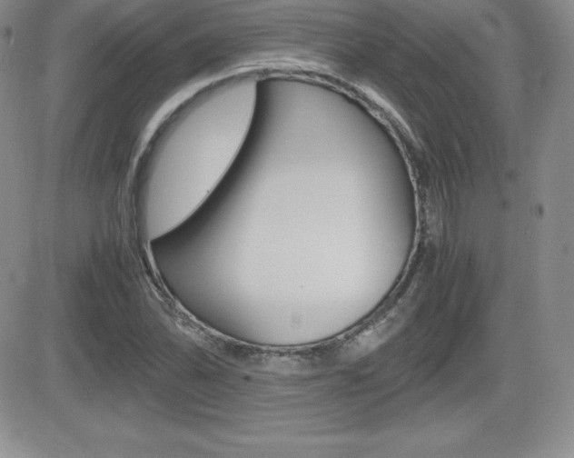 X0000082741070200701261025
