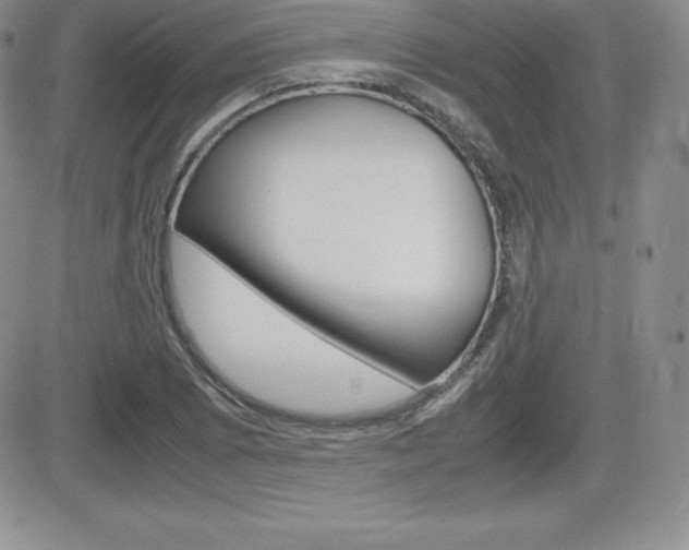 X0000082741073200701261025