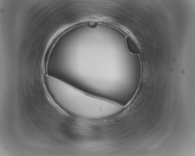 X0000082741080200701261025