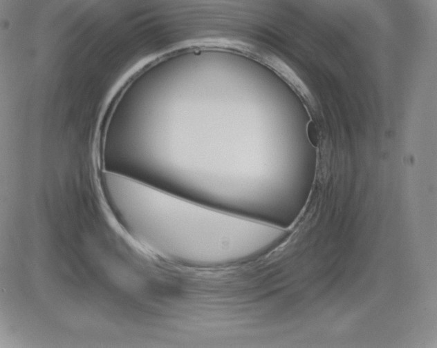 X0000082741084200701261024