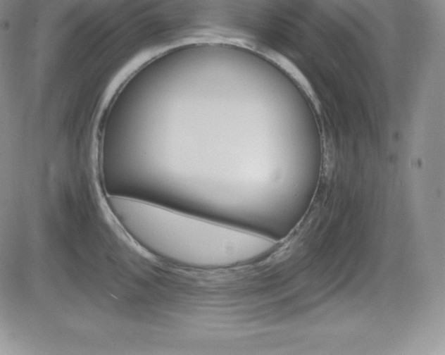 X0000082741096200701261024