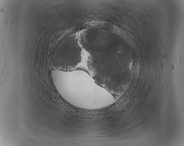 X0000082741105200701261023