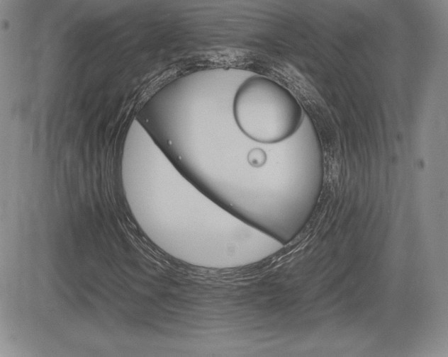X0000082741106200701261023