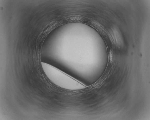 X0000082741107200701261023