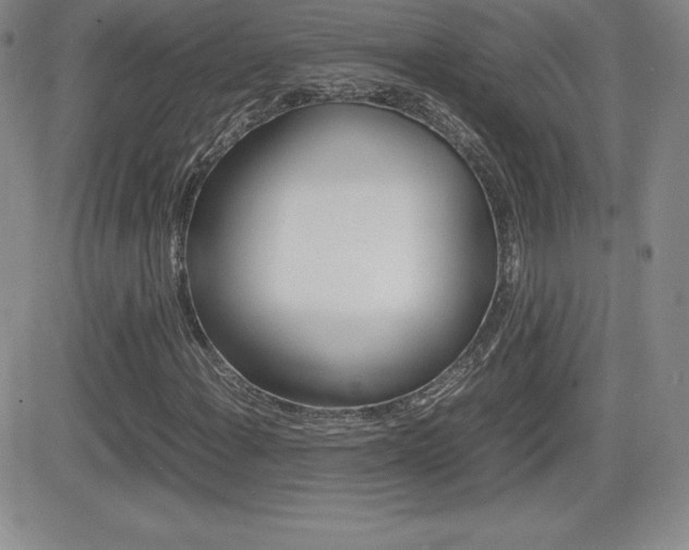 X0000082741108200701261023