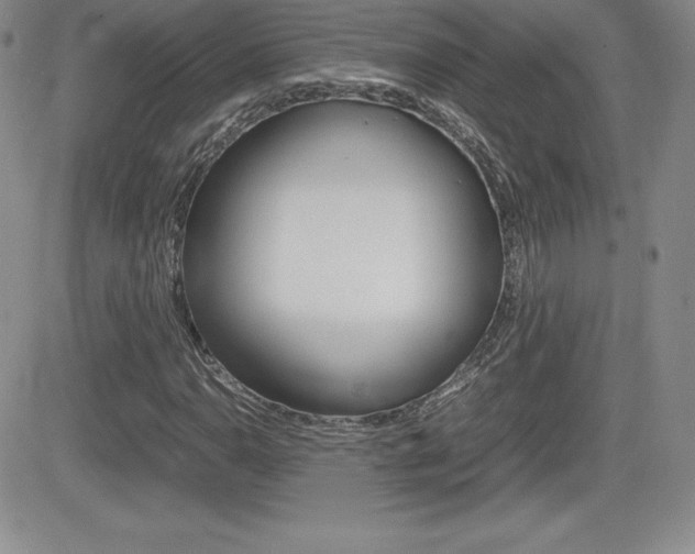 X0000082741110200701261023