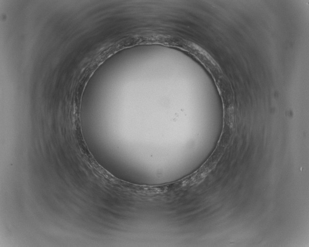 X0000082741111200701261023