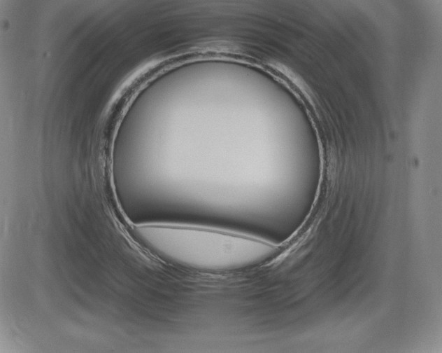 X0000082741115200701261023