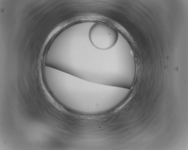 X0000082741130200701261024