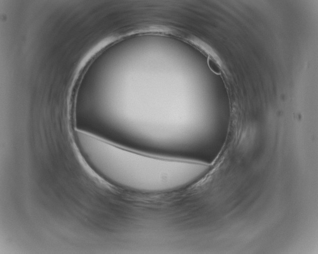 X0000082741135200701261024
