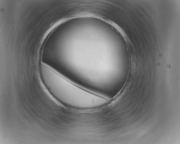 X0000082741142200701261024
