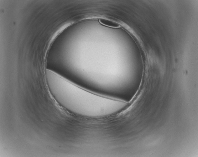 X0000082741145200701261024