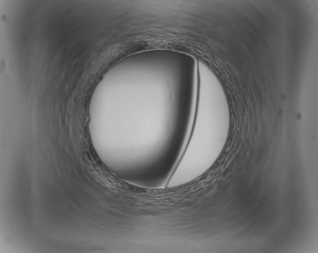 X0000082741153200701261023