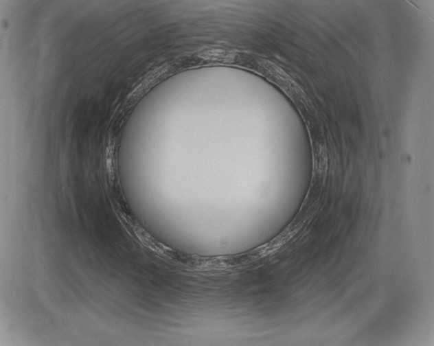 X0000082741154200701261023