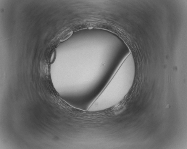 X0000082741155200701261023
