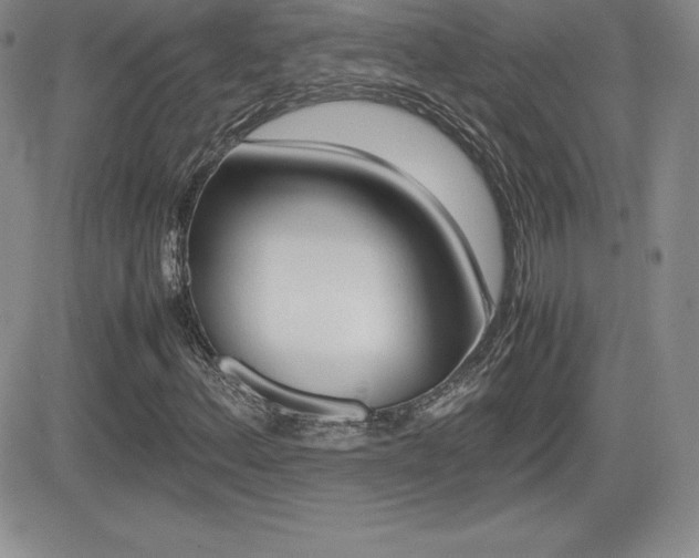 X0000082741156200701261023