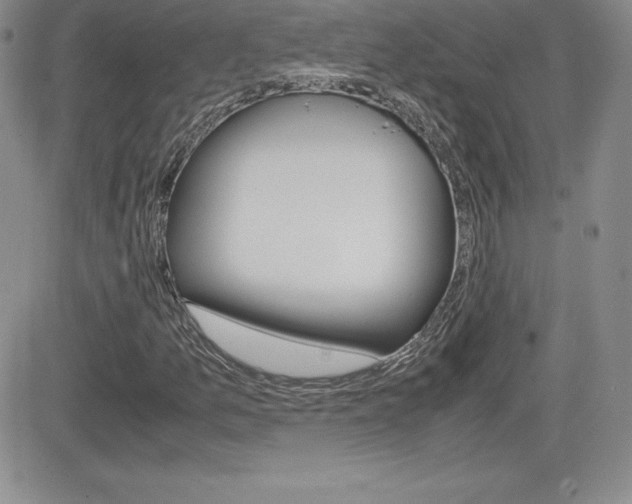 X0000082741157200701261023