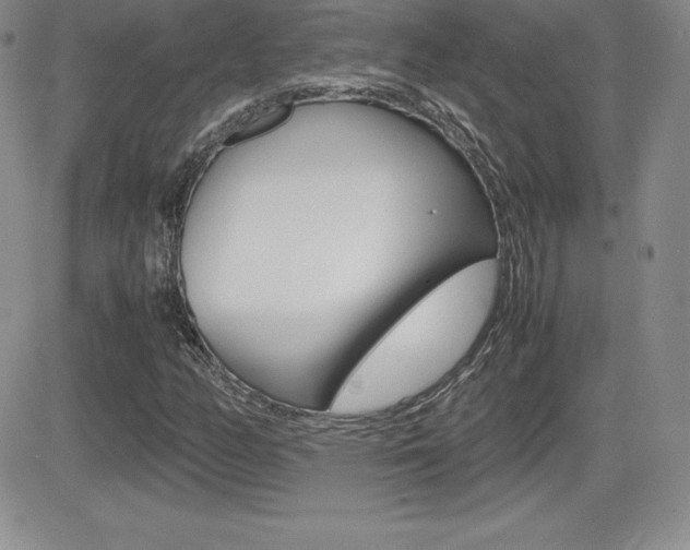 X0000082741158200701261023