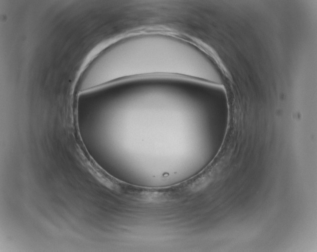 X0000082741176200701261023