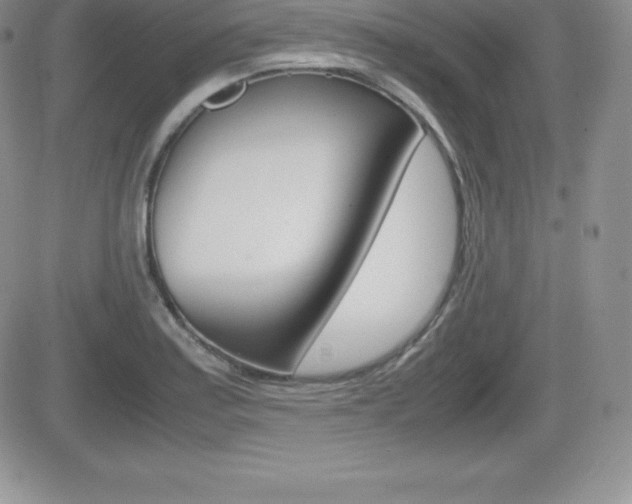 X0000082741179200701261023