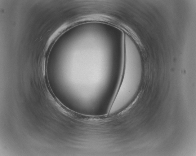 X0000082741180200701261023