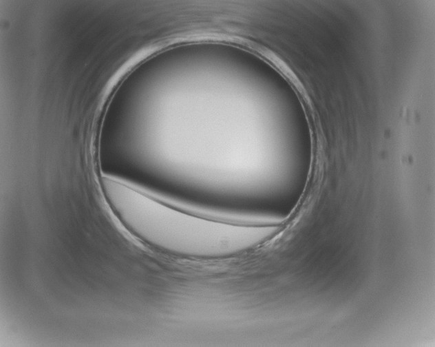 X0000082741197200701261023