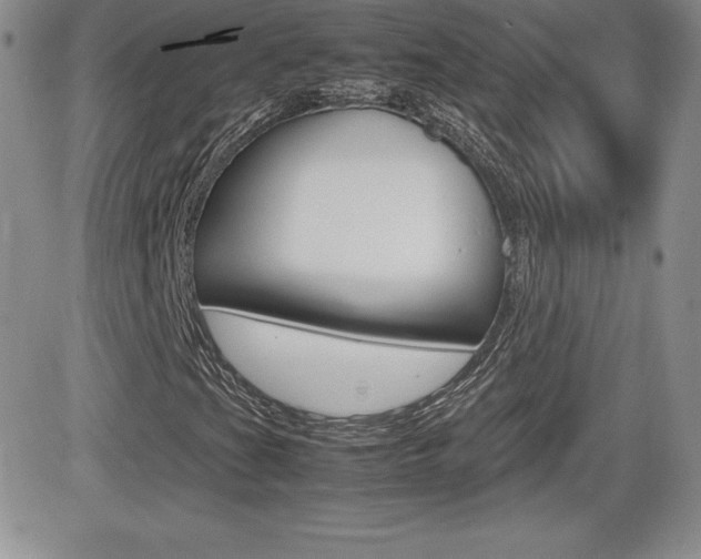 X0000082741201200701261022