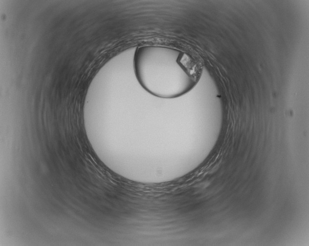 X0000082741202200701261022