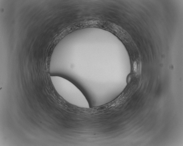 X0000082741203200701261022