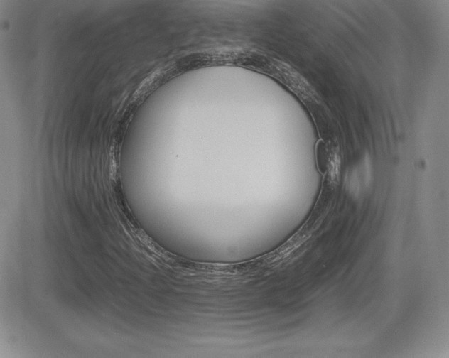 X0000082741204200701261022