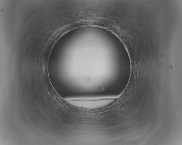 X0000082741206200701261022