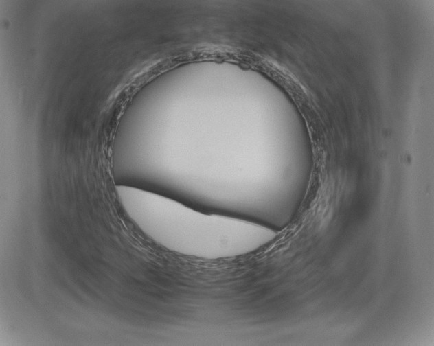 X0000082741207200701261022