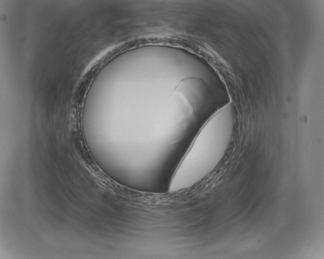 X0000082741208200701261022