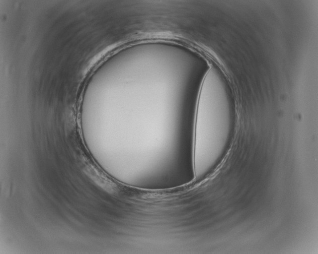 X0000082741212200701261022