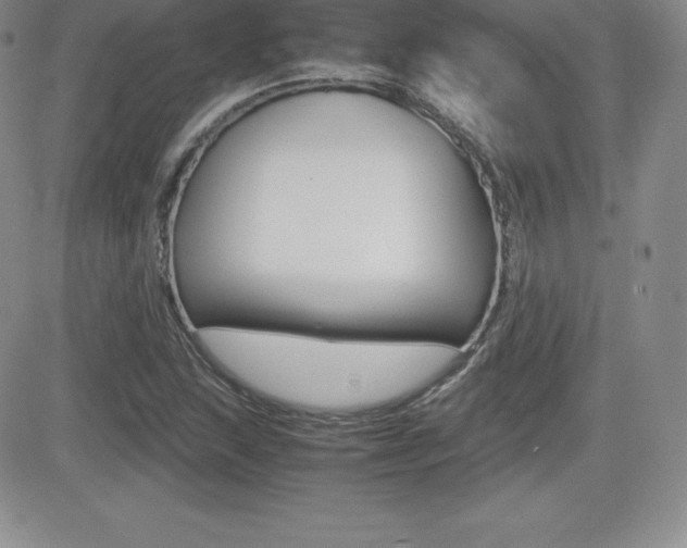 X0000082741215200701261022