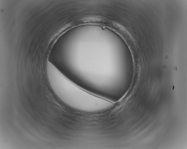 X0000082741217200701261022