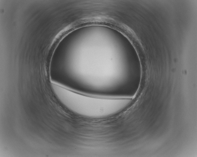 X0000082741218200701261022