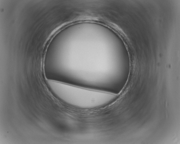 X0000082741220200701261022