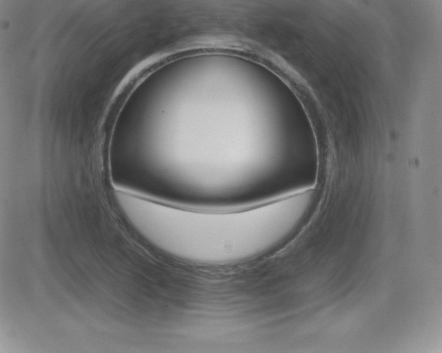 X0000082741222200701261022