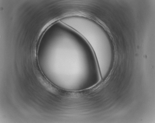 X0000082741226200701261022