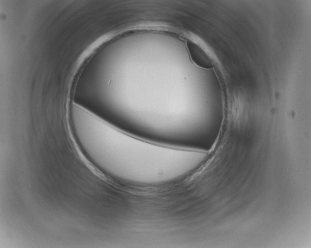 X0000082741237200701261022