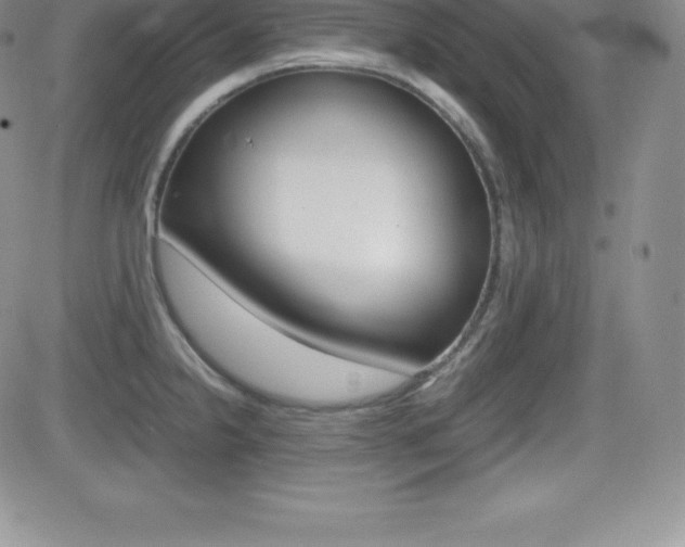 X0000082741238200701261022