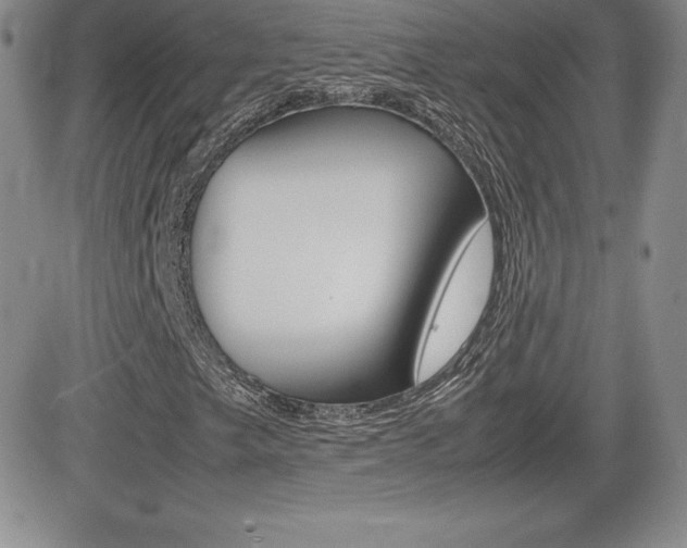 X0000082741249200701261022