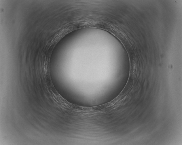 X0000082741250200701261022