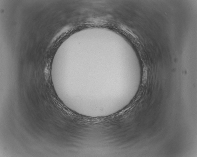 X0000082741254200701261022
