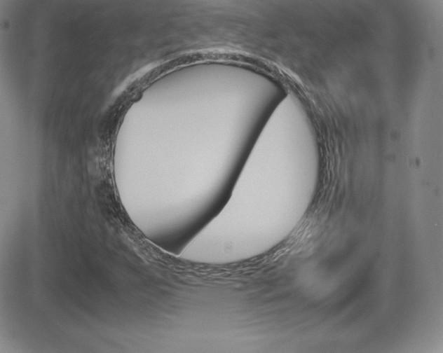 X0000082741255200701261022