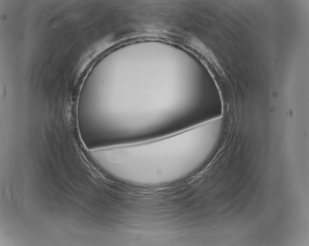 X0000082741260200701261022