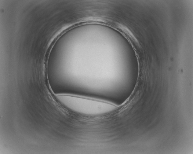 X0000082741268200701261021