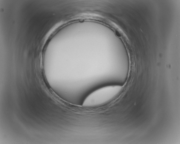 X0000082741275200701261021